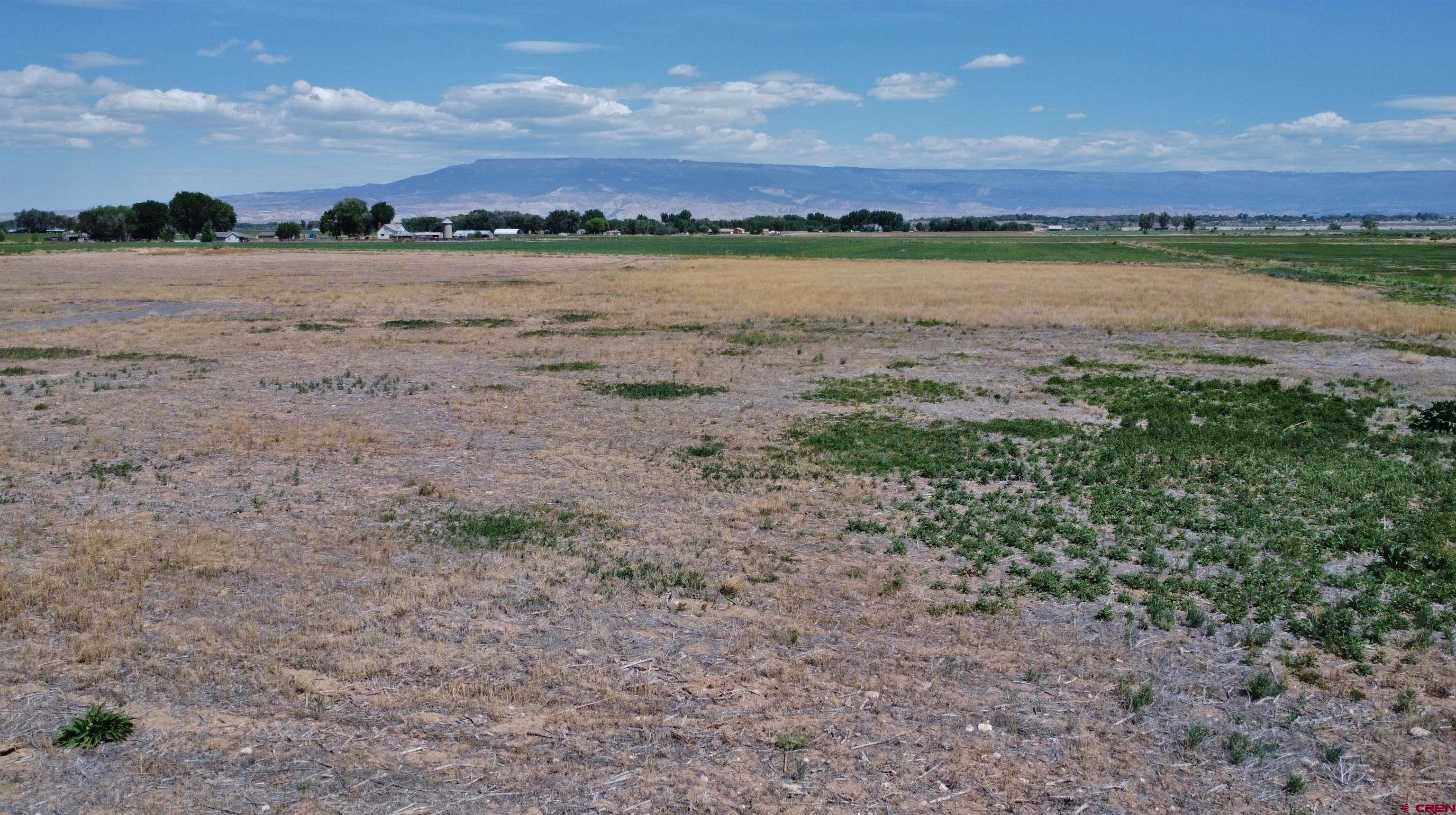 17185 B Road Delta, CO 81416 - Photo 3 of 9