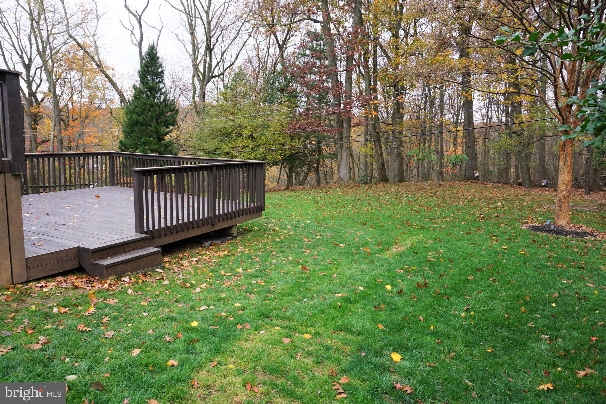 176 Dayleview Road Berwyn, PA 19312 - Photo 30 of 38