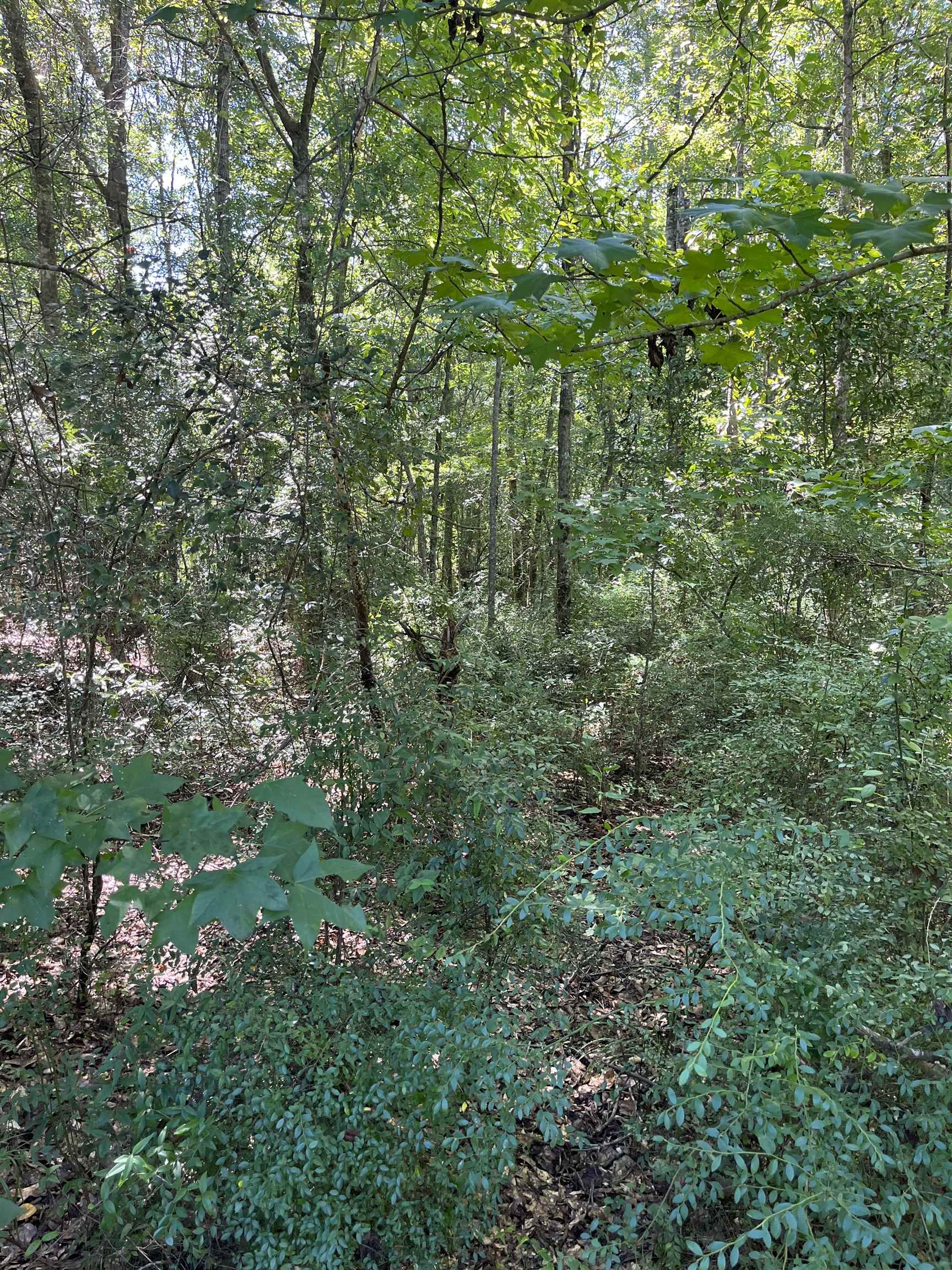 9068 Bryant's Lndg Road Stockton, AL 36579 - Photo 10 of 10 View