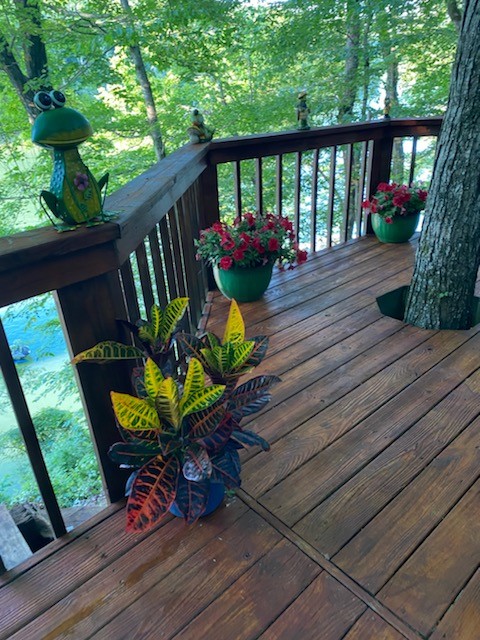 210 Watson Road Rock Island, TN 38581 - Photo 3 of 50 Gallery Image 3