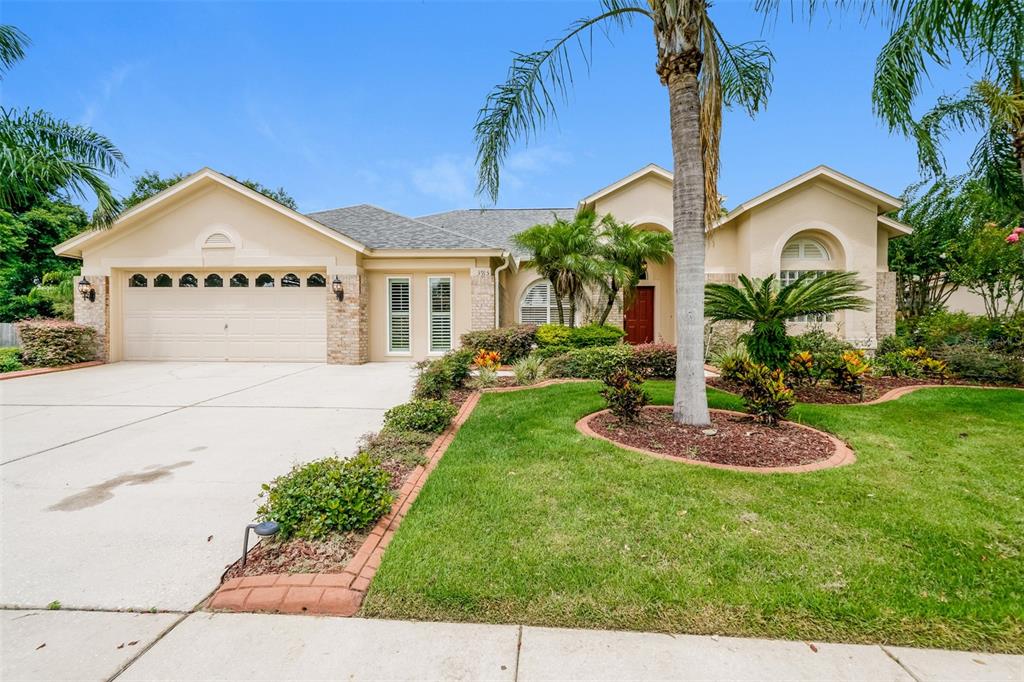 3915 Saddle Ridge Street Valrico, FL 33596 - Photo 1 of 1 Gallery Image 1