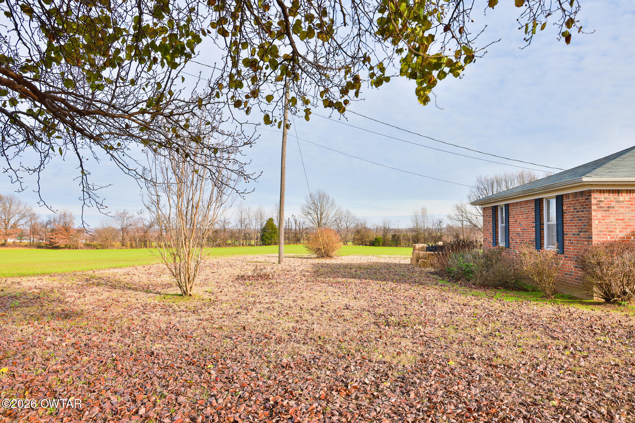 32 New Hope Road Dyer, TN 38330 - Photo 8 of 28 a view of a house with a yard and a large tree