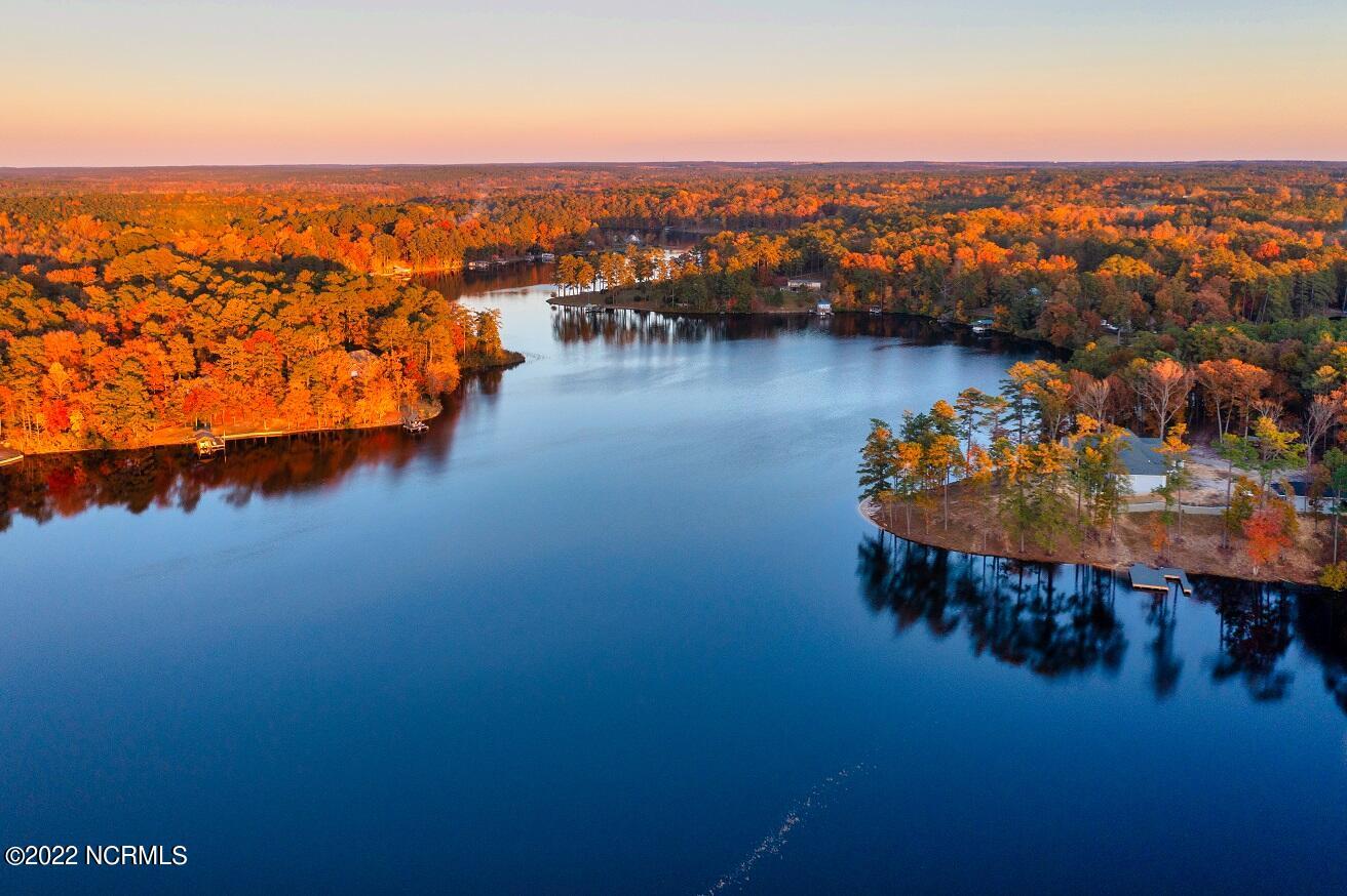 193 Frank Parker Road Rockingham, NC 28379 - Photo 6 of 52 DJI_0919