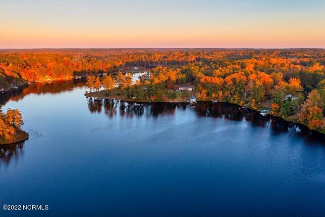 193 Frank Parker Road Rockingham, NC 28379 - Photo 7 of 52 DJI_0920