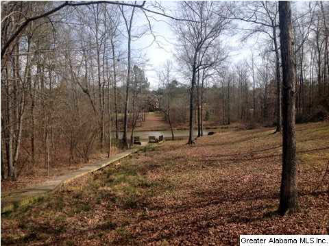 173 Shore Front Lane Wilsonville, AL 35186 - Photo 30 of 32