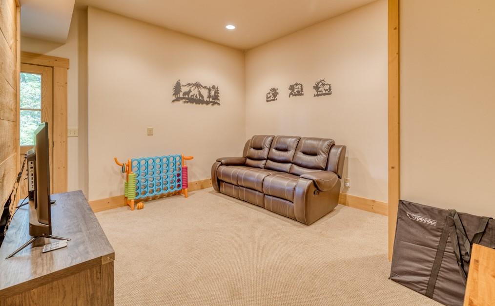 111 Watkins Farm Road Blue Ridge, GA 30513 - Photo 18 of 23 a living room with furniture and a flat screen tv