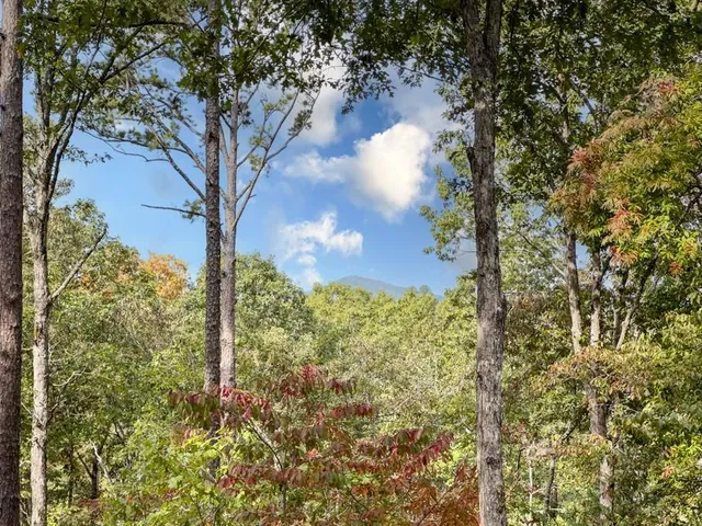 $3,000 | 111 Watkins Farm Road, Blue Ridge, GA 30513