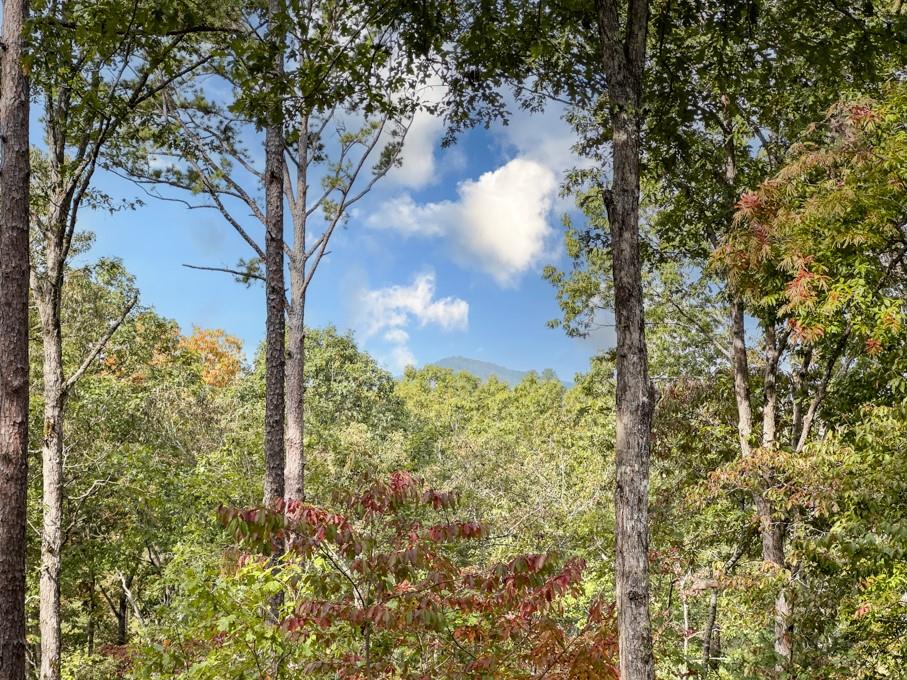 111 Watkins Farm Road Blue Ridge, GA 30513 - Photo 3 of 23 a view of a yard