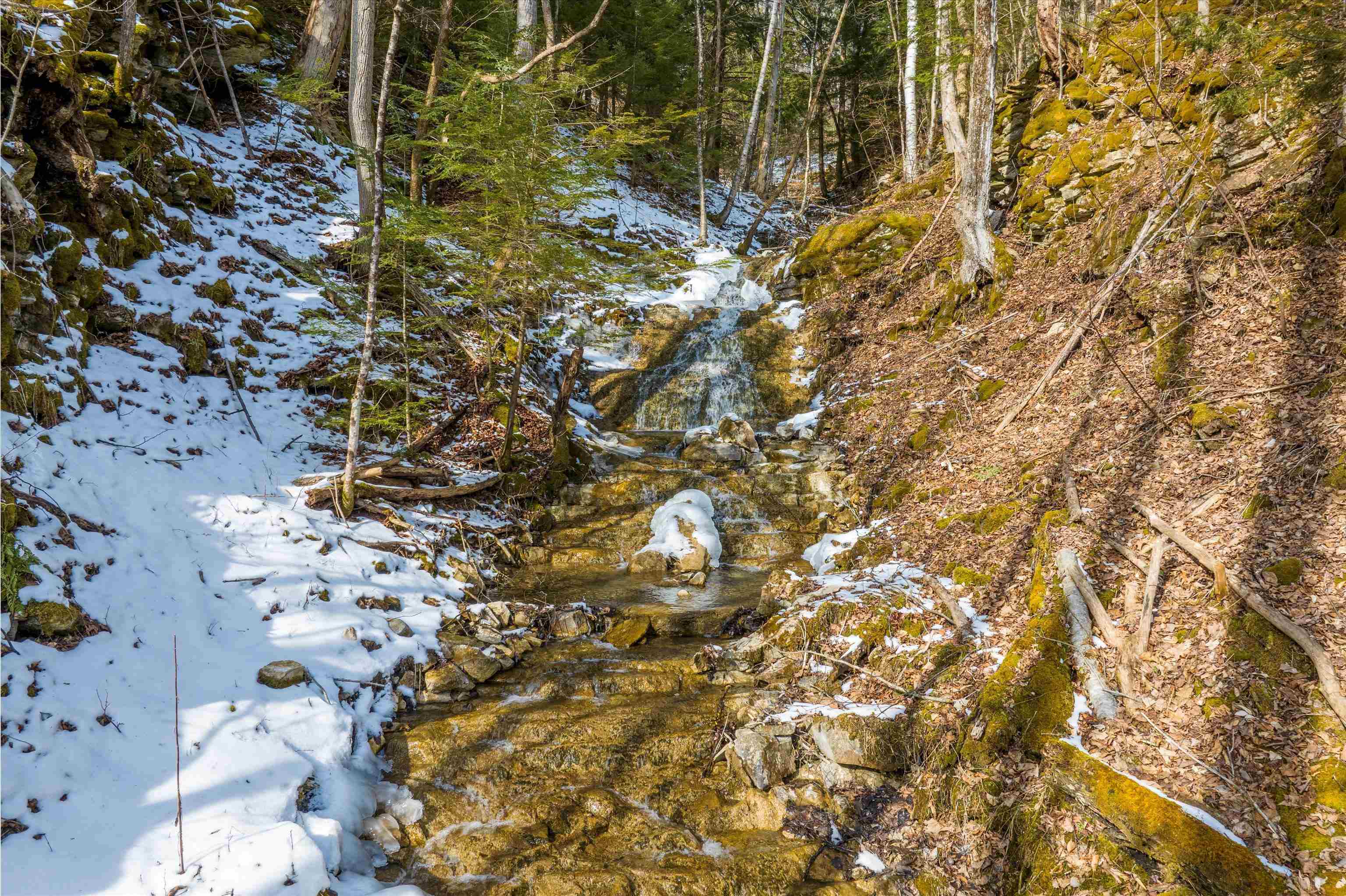 242 Troll Hill Road Mount Tabor, VT 05739 - Photo 23 of 33 Gallery Image 23