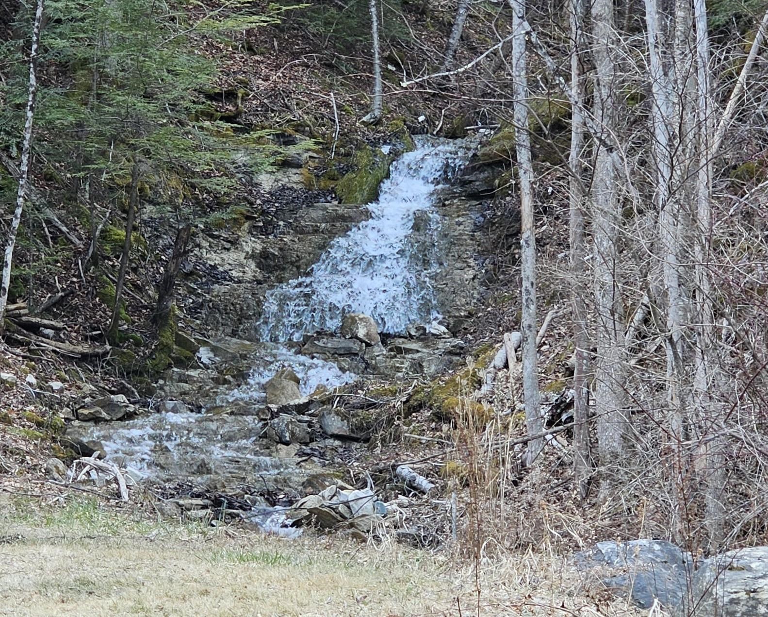 242 Troll Hill Road Mount Tabor, VT 05739 - Photo 25 of 33 Gallery Image 25