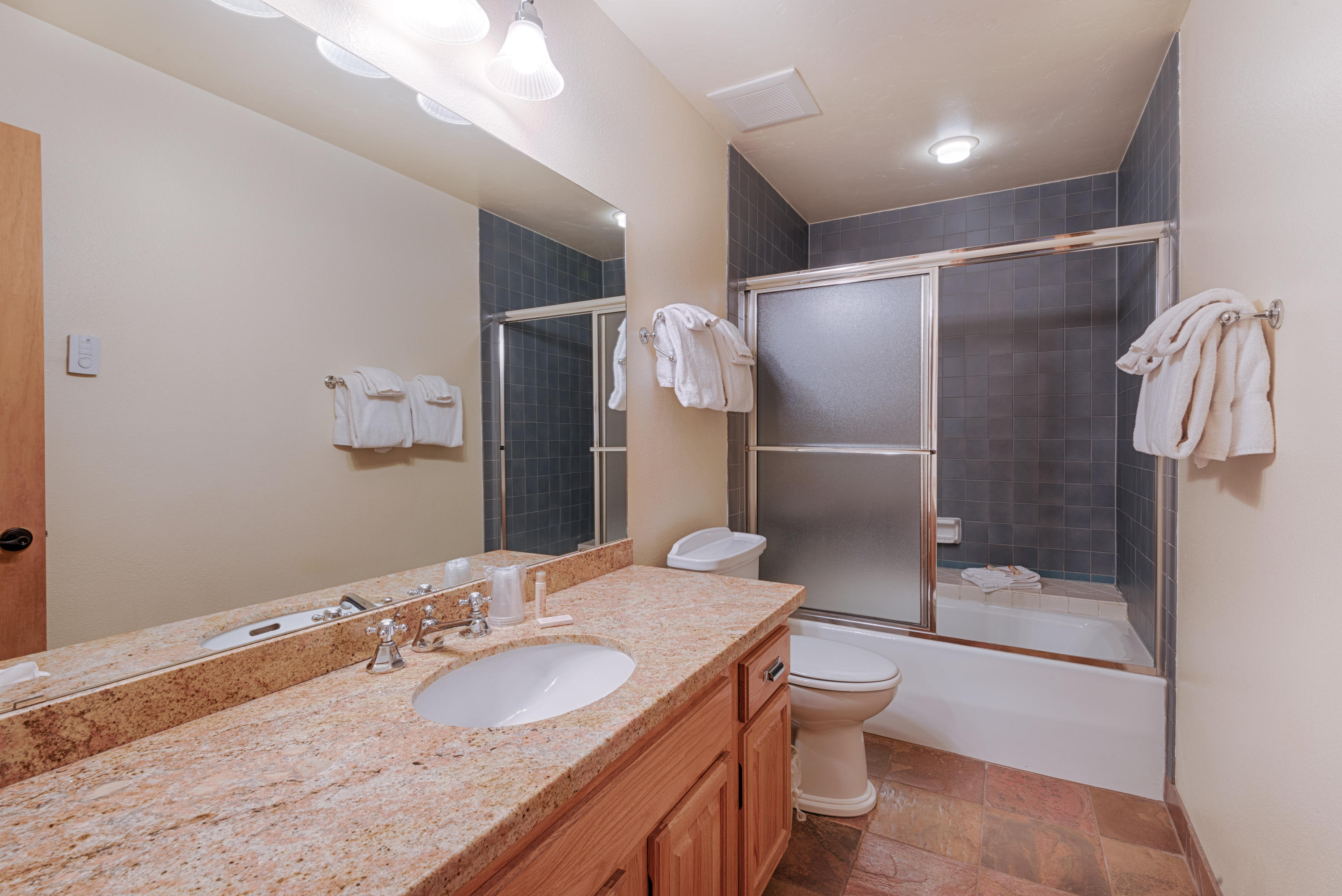 300 Mahoney Drive, Unit R30 Telluride, CO 81435 - Photo 8 of 15 Guest Bathroom