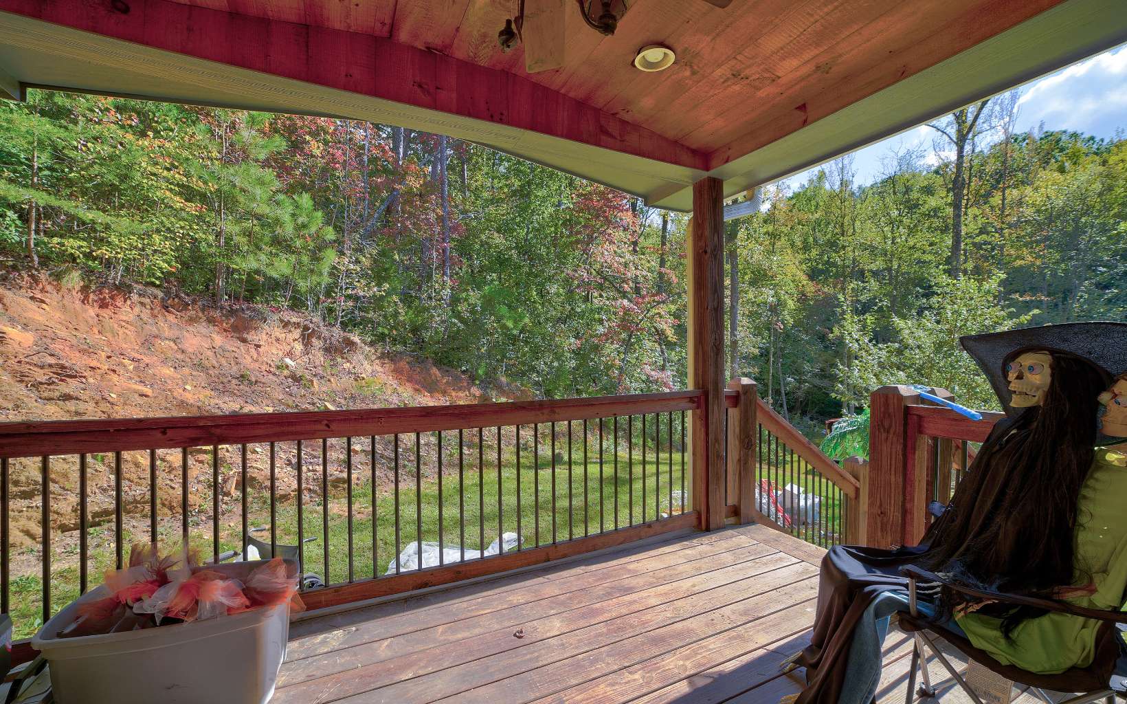 494 Berean Church Road Ellijay, GA 30540 - Photo 36 of 43 Additional View