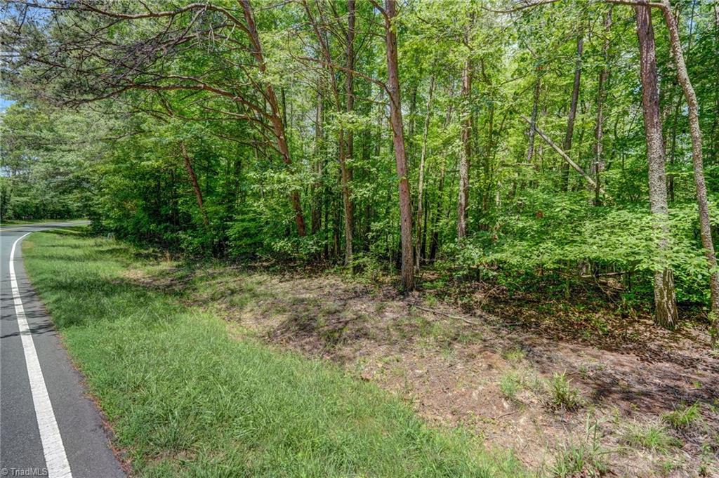 0 Garrett Road Eden, NC 27288 - Photo 7 of 8