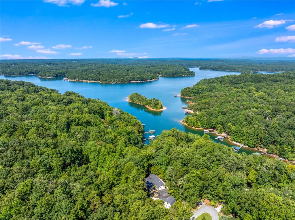 600 Point Road Westminster, SC 29693 - Photo 45 of 50