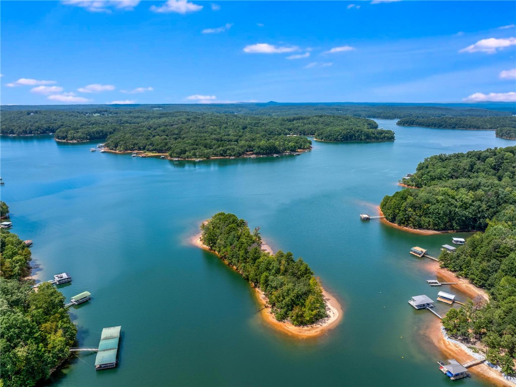 600 Point Road Westminster, SC 29693 - Photo 47 of 50