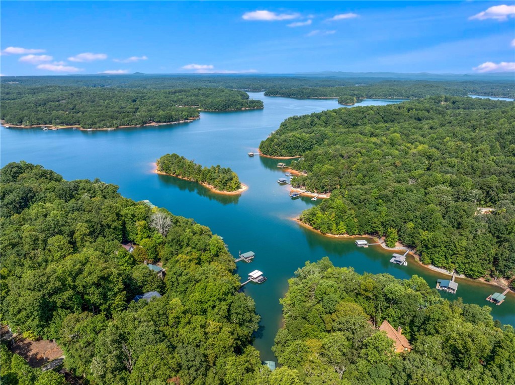 600 Point Road Westminster, SC 29693 - Photo 48 of 50