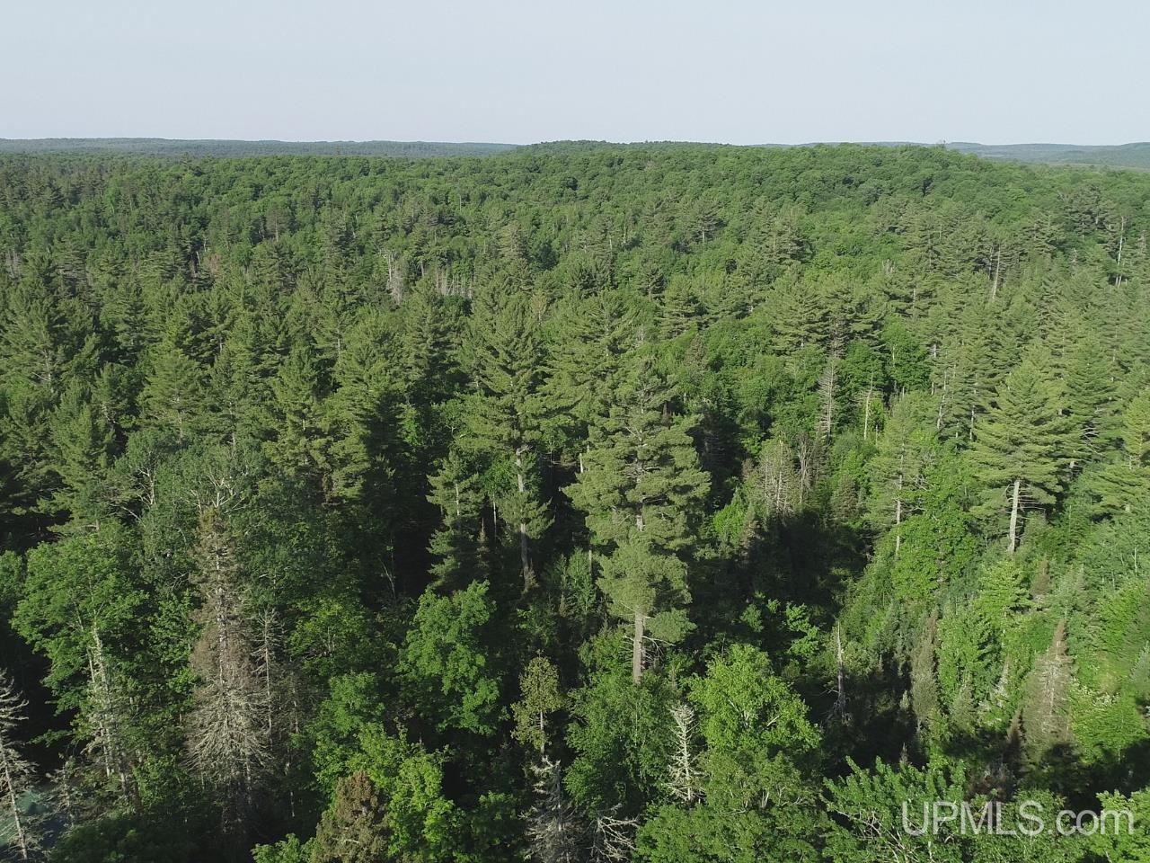 46 County Aat Road Ishpeming, MI 49849 - Photo 20 of 44