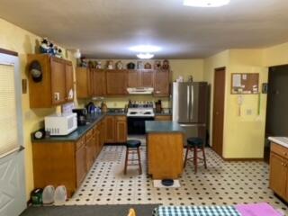 925 East Broadway Street Three Rivers, MI 49093 - Photo 3 of 11 image4