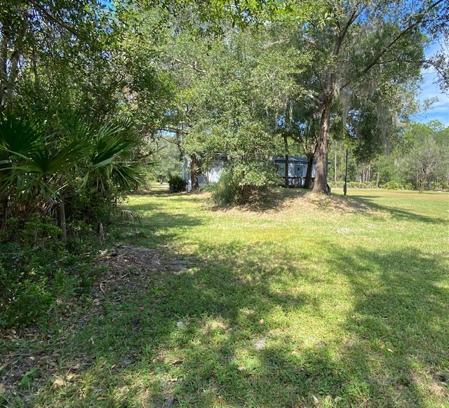 96142 Lang Road Yulee, FL 32097 - Photo 13 of 15 a view of a yard with trees
