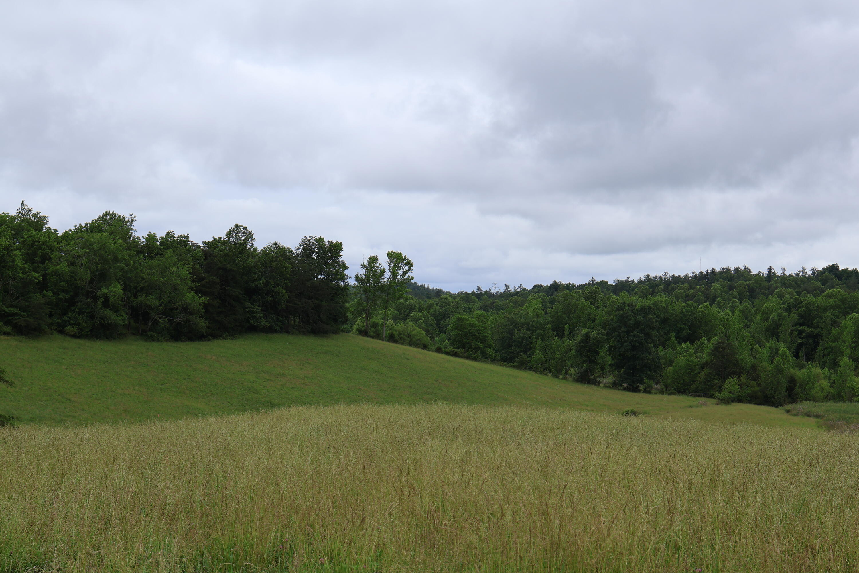 4135 Big Andy Ridge Road, Unit TRACT 5 Rogers, KY 41365 - Photo 6 of 10 Tract 5
