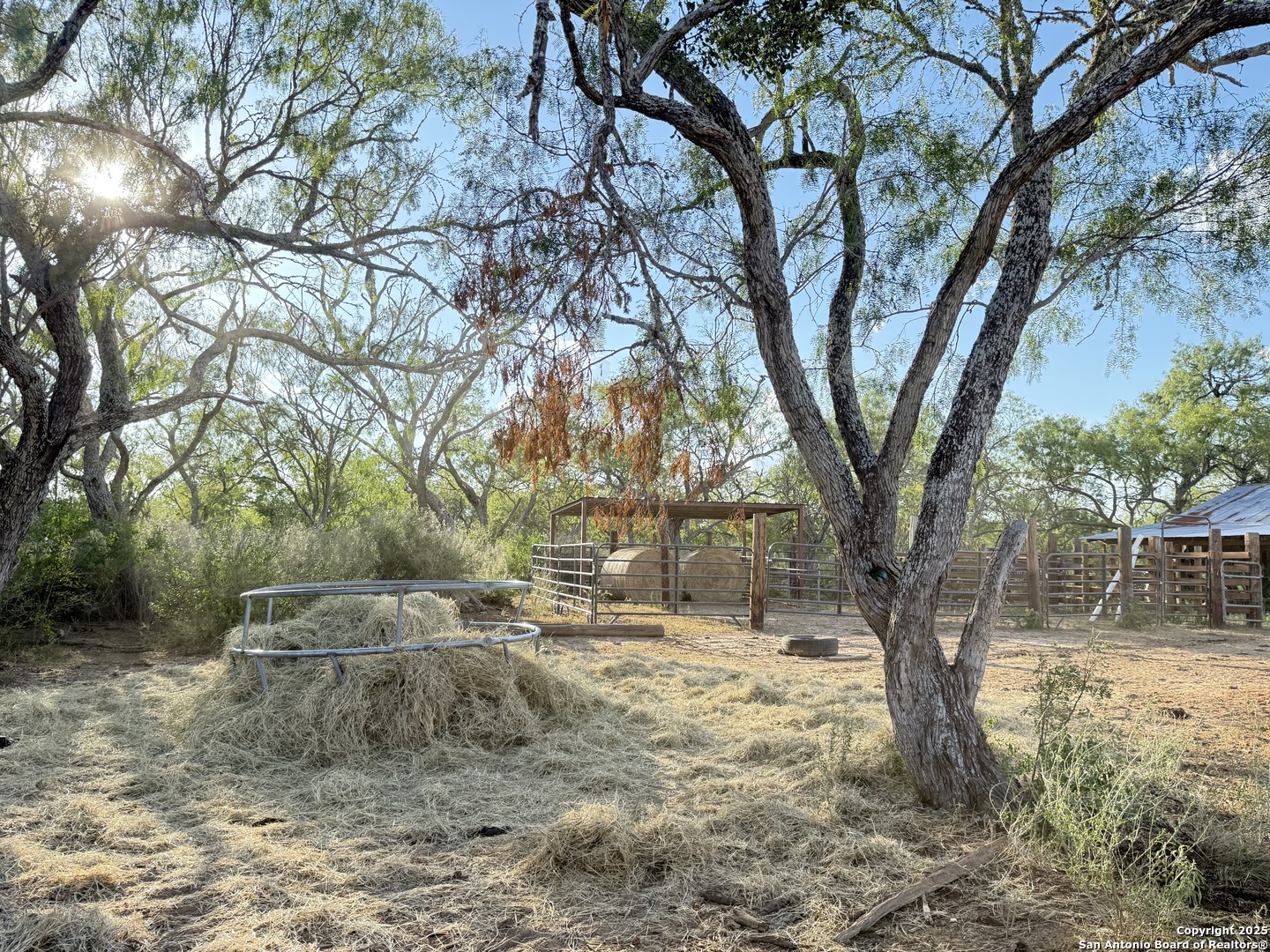 421 Zion Hill Road Seguin, TX 78155 - Photo 12 of 13 a view of outdoor space with trees