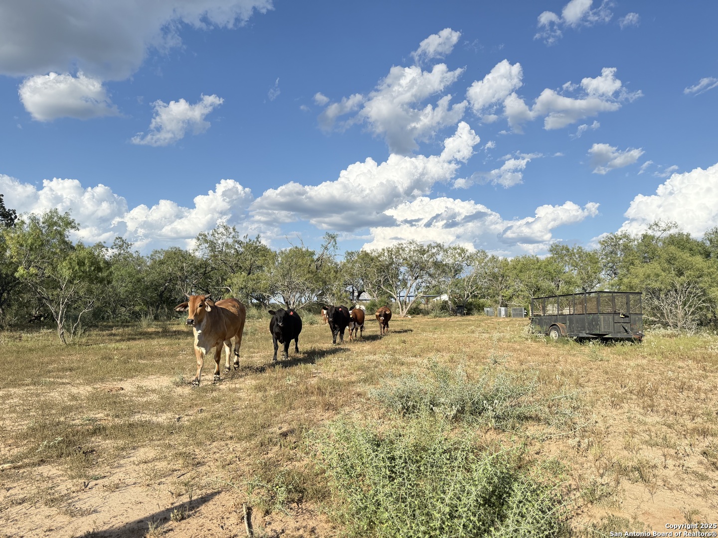 421 Zion Hill Road Seguin, TX 78155 - Photo 13 of 13 a view of a town with mountains in the background