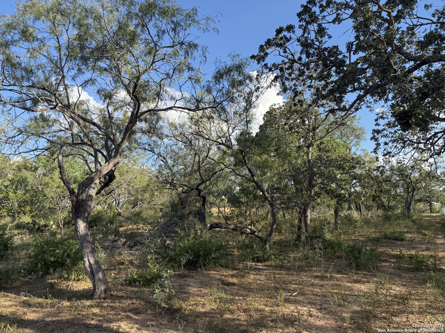 421 Zion Hill Road Seguin, TX 78155 - Photo 3 of 13 a view of a lake view