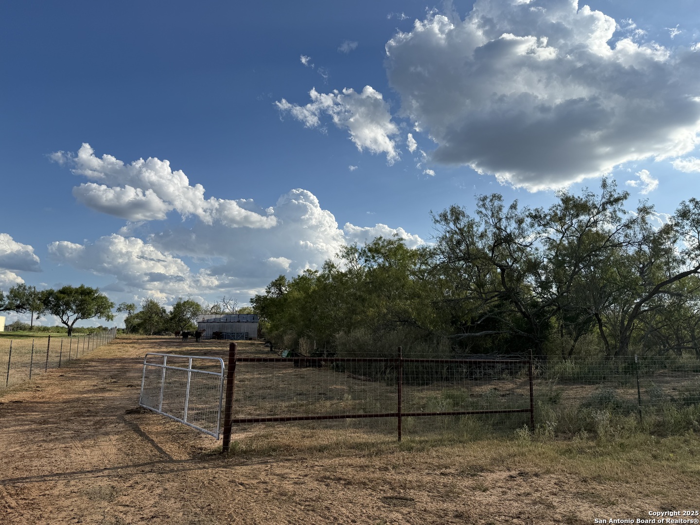 421 Zion Hill Road Seguin, TX 78155 - Photo 4 of 13 a view of a lake with a tree