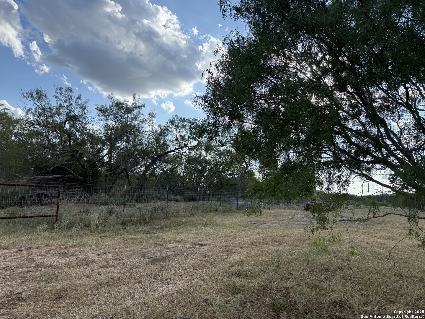 421 Zion Hill Road Seguin, TX 78155 - Photo 5 of 13 a view of outdoor space and yard