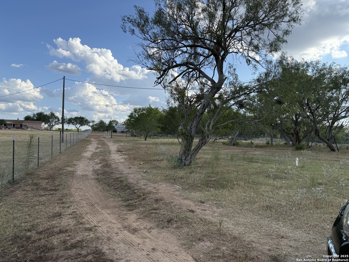 421 Zion Hill Road Seguin, TX 78155 - Photo 6 of 13 a view of a yard with a tree
