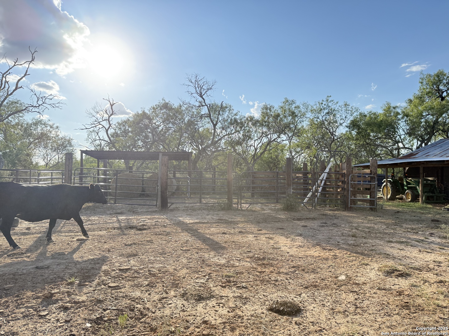 421 Zion Hill Road Seguin, TX 78155 - Photo 10 of 13 a backyard of a house with table and chairs