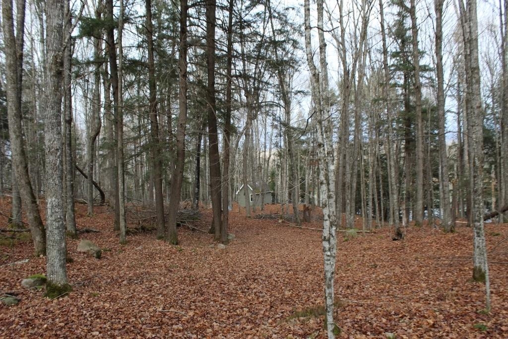 762 Moonlight Lane, Unit 56 Laona, WI 54541 - Photo 24 of 45