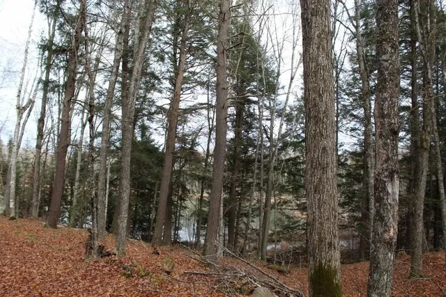 $139,000 | 762 Moonlight Lane, Unit 56, Laona, WI 54541