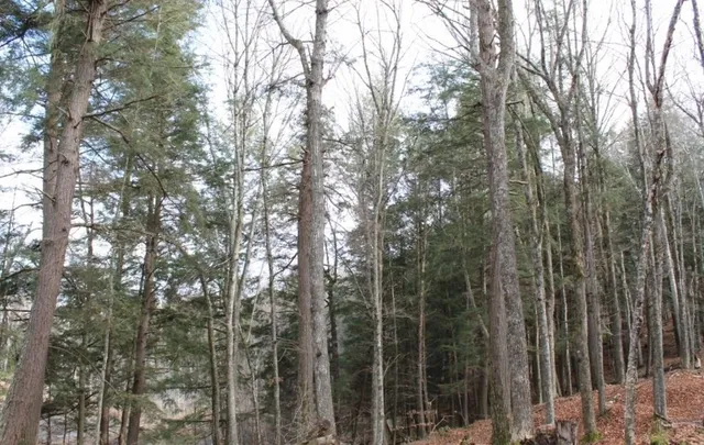 $139,000 | 762 Moonlight Lane, Unit 56, Laona, WI 54541