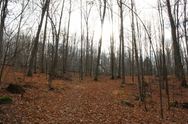 $139,000 | 762 Moonlight Lane, Unit 56, Laona, WI 54541