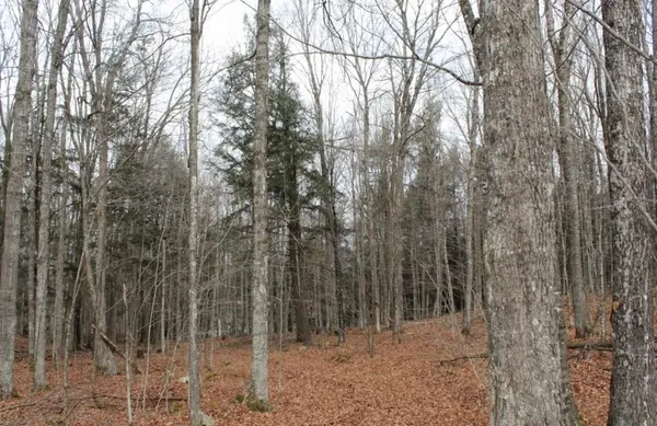 $139,000 | 762 Moonlight Lane, Unit 56, Laona, WI 54541