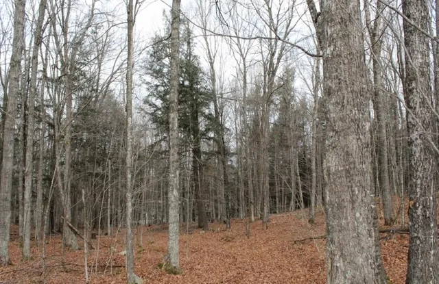 $139,000 | 762 Moonlight Lane, Unit 56, Laona, WI 54541