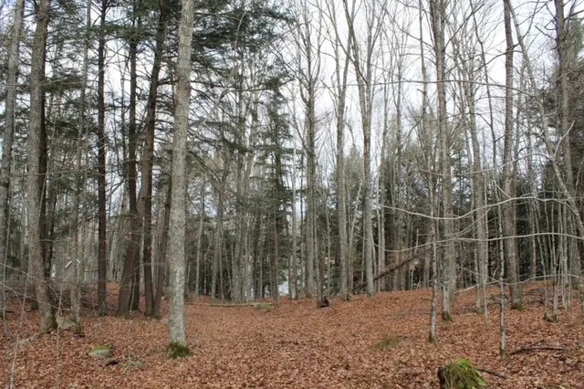 $139,000 | 762 Moonlight Lane, Unit 56, Laona, WI 54541