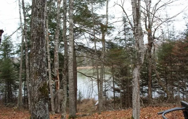 $139,000 | 762 Moonlight Lane, Unit 56, Laona, WI 54541