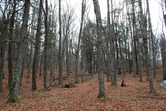 $139,000 | 762 Moonlight Lane, Unit 56, Laona, WI 54541