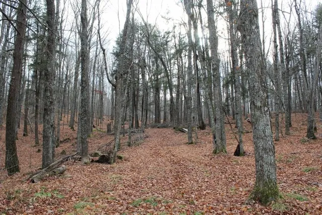 $139,000 | 762 Moonlight Lane, Unit 56, Laona, WI 54541