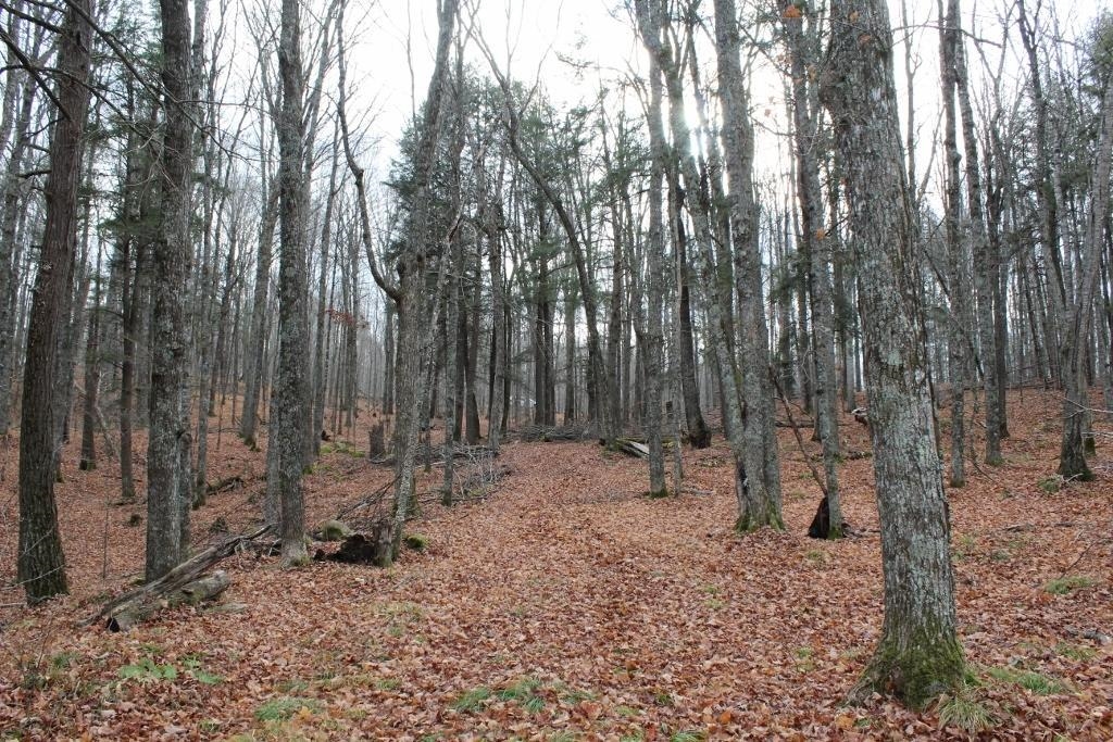 762 Moonlight Lane, Unit 56 Laona, WI 54541 - Photo 40 of 45