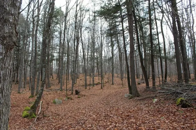 $139,000 | 762 Moonlight Lane, Unit 56, Laona, WI 54541