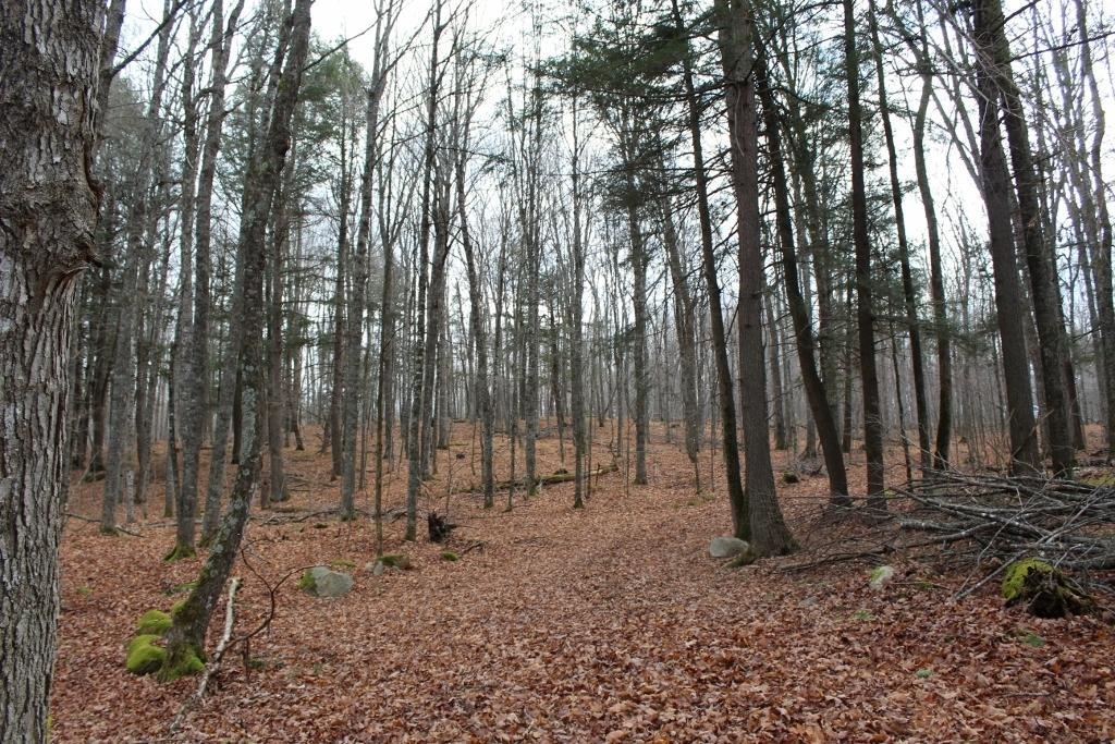 762 Moonlight Lane, Unit 56 Laona, WI 54541 - Photo 41 of 45