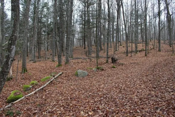 $139,000 | 762 Moonlight Lane, Unit 56, Laona, WI 54541