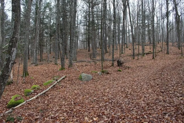 $139,000 | 762 Moonlight Lane, Unit 56, Laona, WI 54541