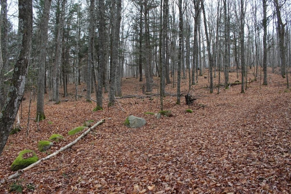 762 Moonlight Lane, Unit 56 Laona, WI 54541 - Photo 42 of 45