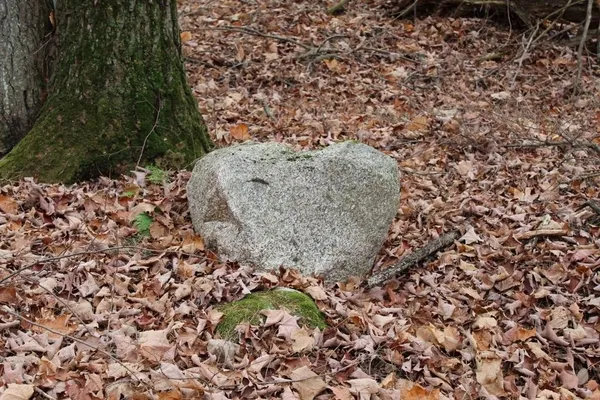 $139,000 | 762 Moonlight Lane, Unit 56, Laona, WI 54541