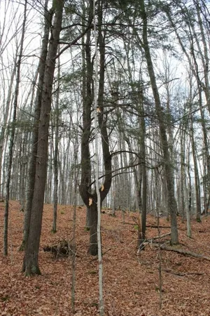 $139,000 | 762 Moonlight Lane, Unit 56, Laona, WI 54541