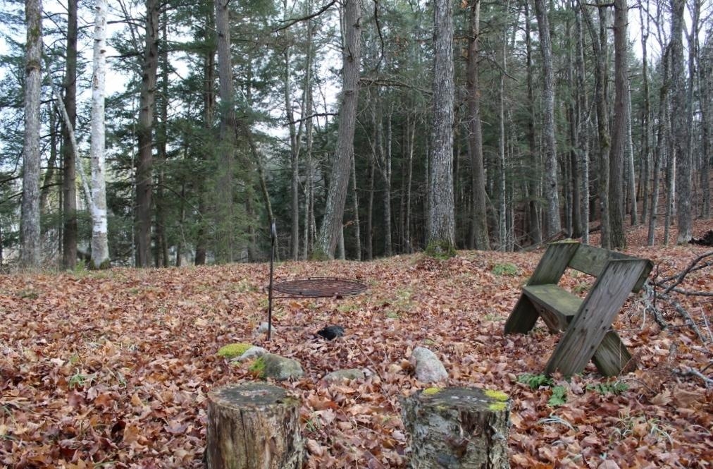 762 Moonlight Lane, Unit 56 Laona, WI 54541 - Photo 8 of 45